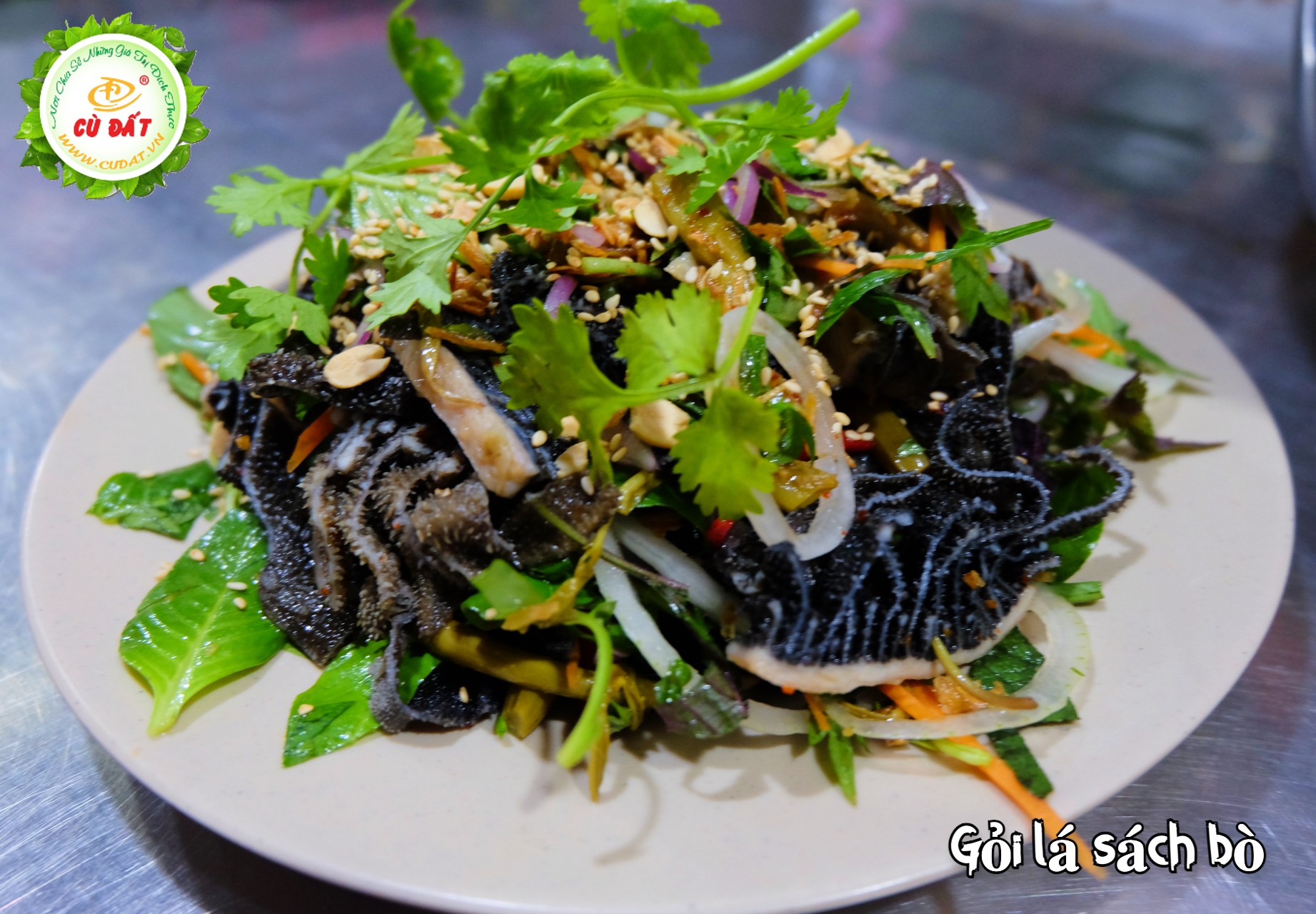 GỎI LÁ SÁCH BÒ TƠ